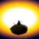 Member Avatar for ITPT